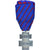 Francia, France Libre, Services Volontaires, WAR, medaglia, 1940-1945