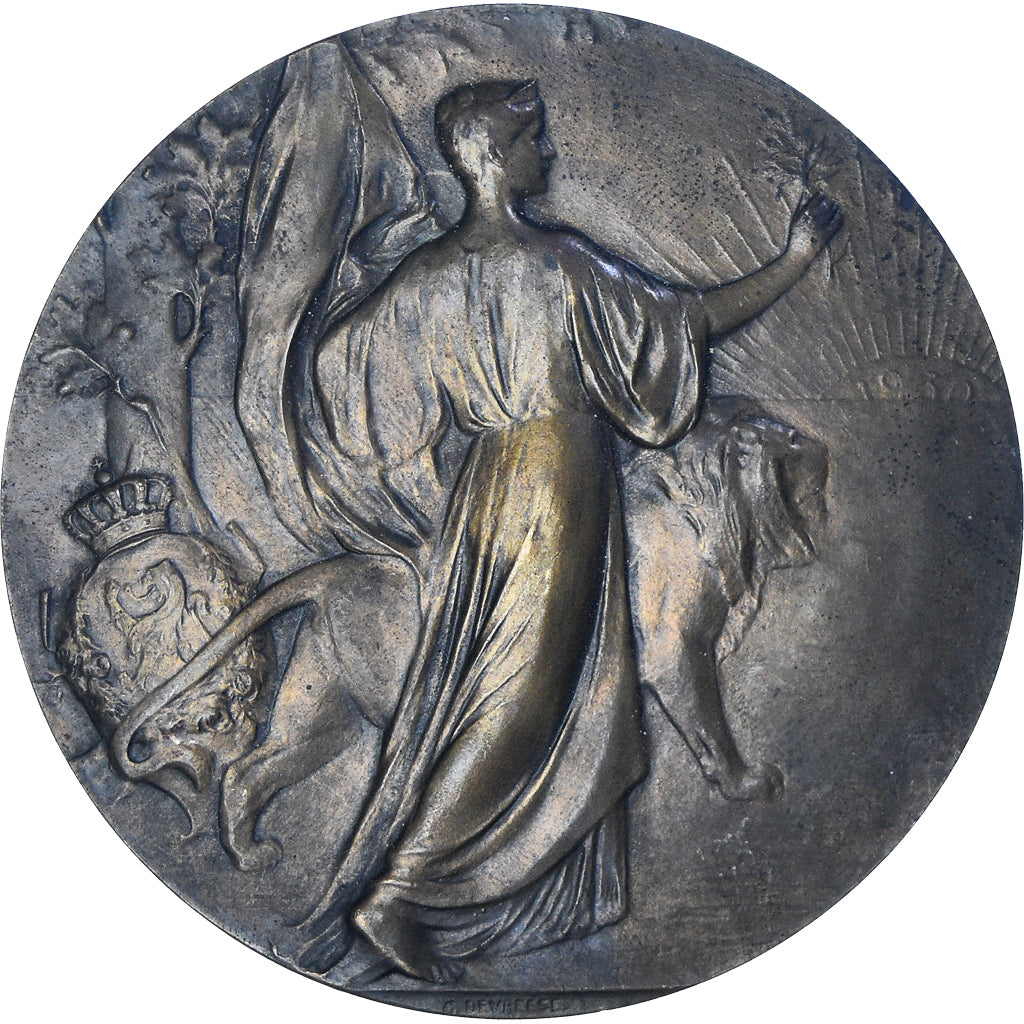 Belgium, Medal, Leopold II , Koning, 1905, Devreese, AU(50-53), Bronze