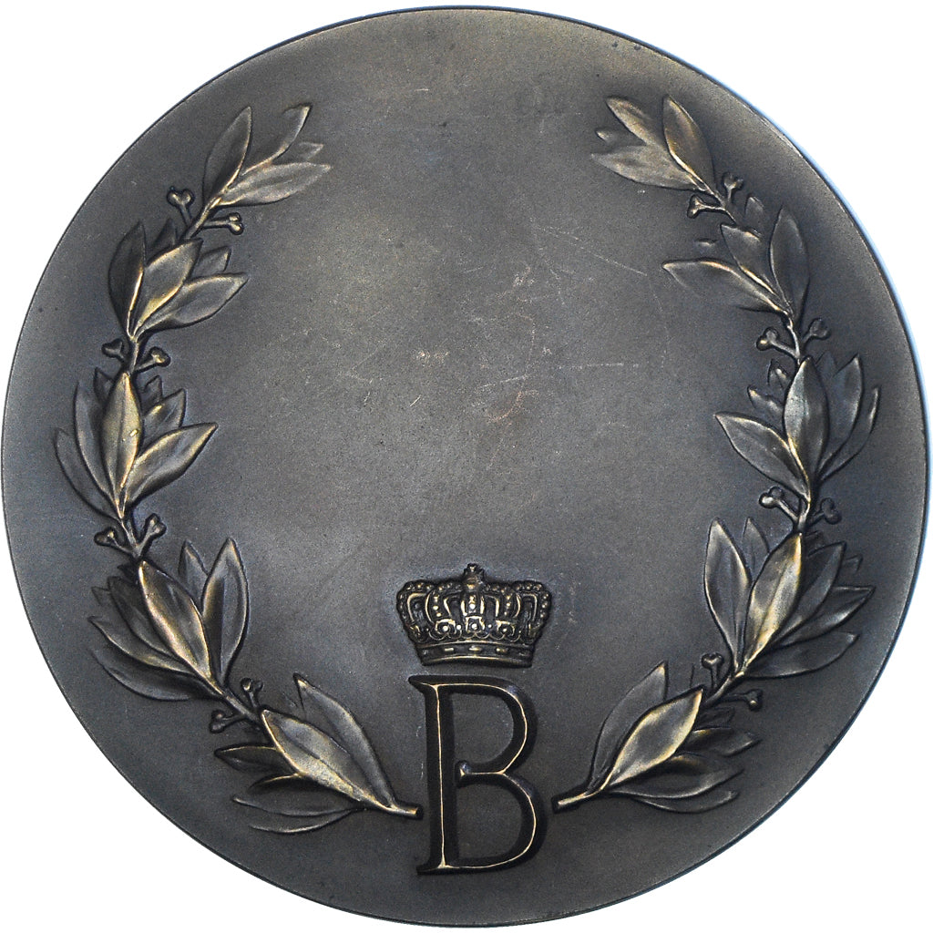 Belgio, medaglia, Le roi Baudouin Ier, SPL, Bronzo