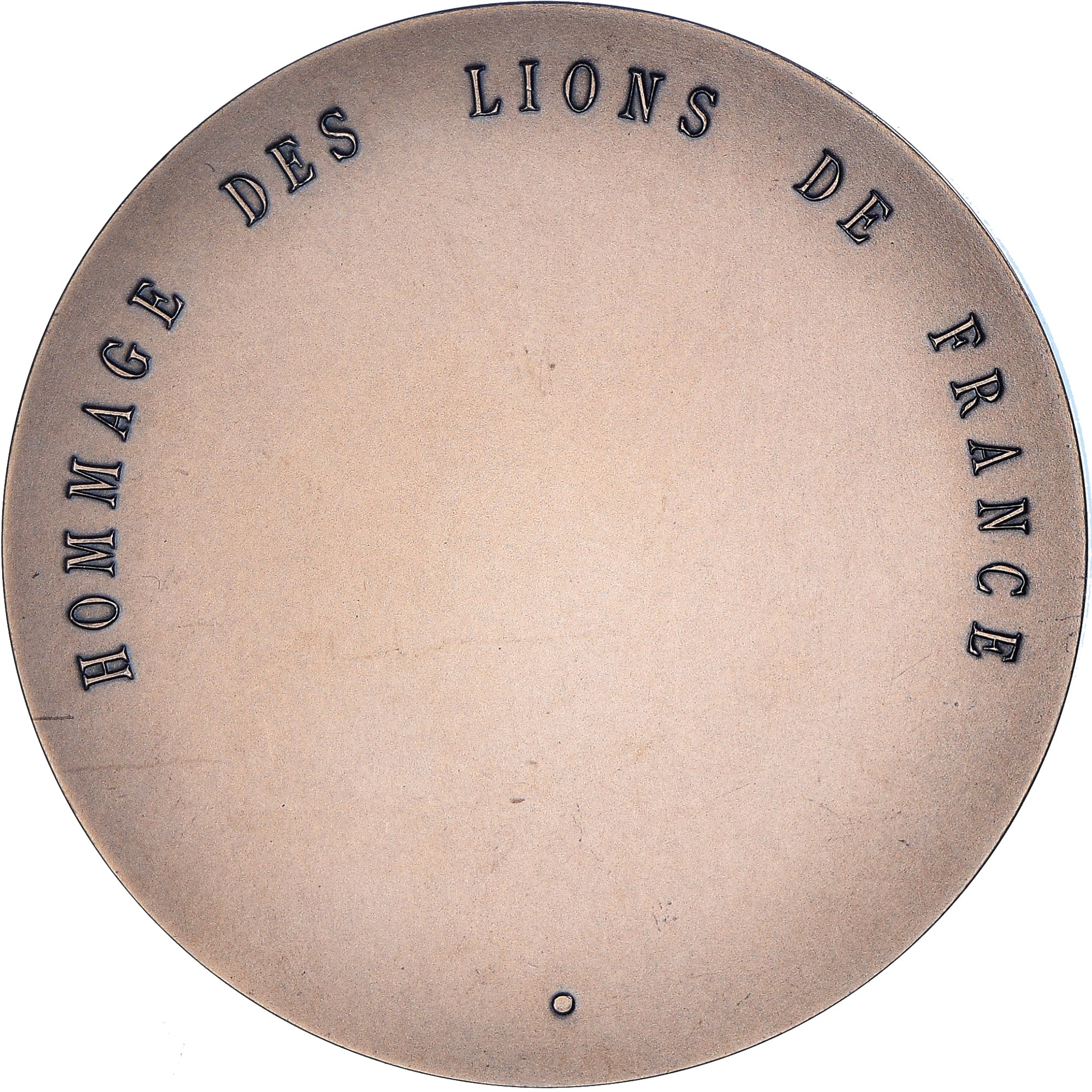France, Medal, Lions International, District Multiple 103 France, MS(63), Bronze