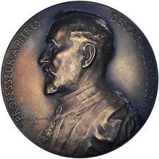 Francja, medal, Professeur A.Pitres, Académie de Médecine, 1914, Paul Richer