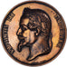 Francia, medaglia, Napoléon Ier, La Ville de Rouen, 1865, Dubois.A, BB+, Rame