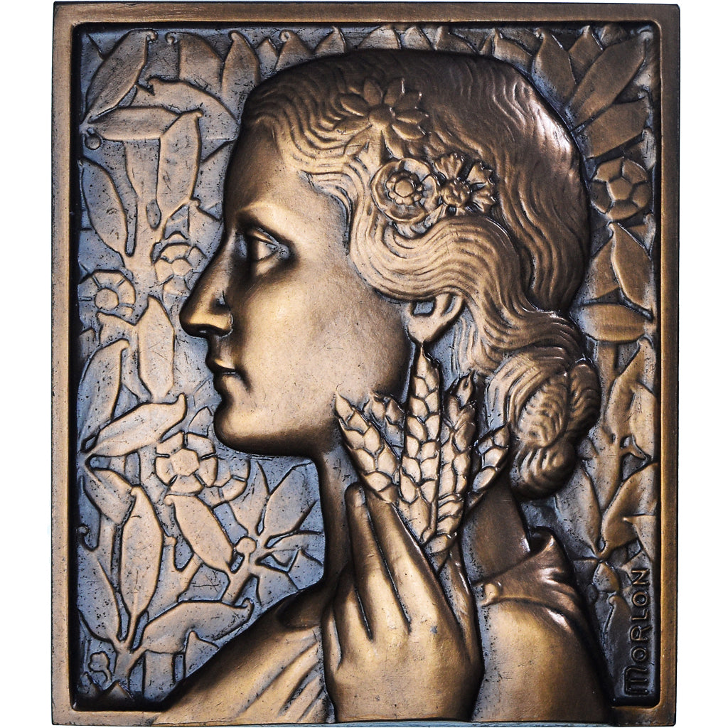 França, medalha, M. DE Montalembert, Sénateur de la Seine Maritime