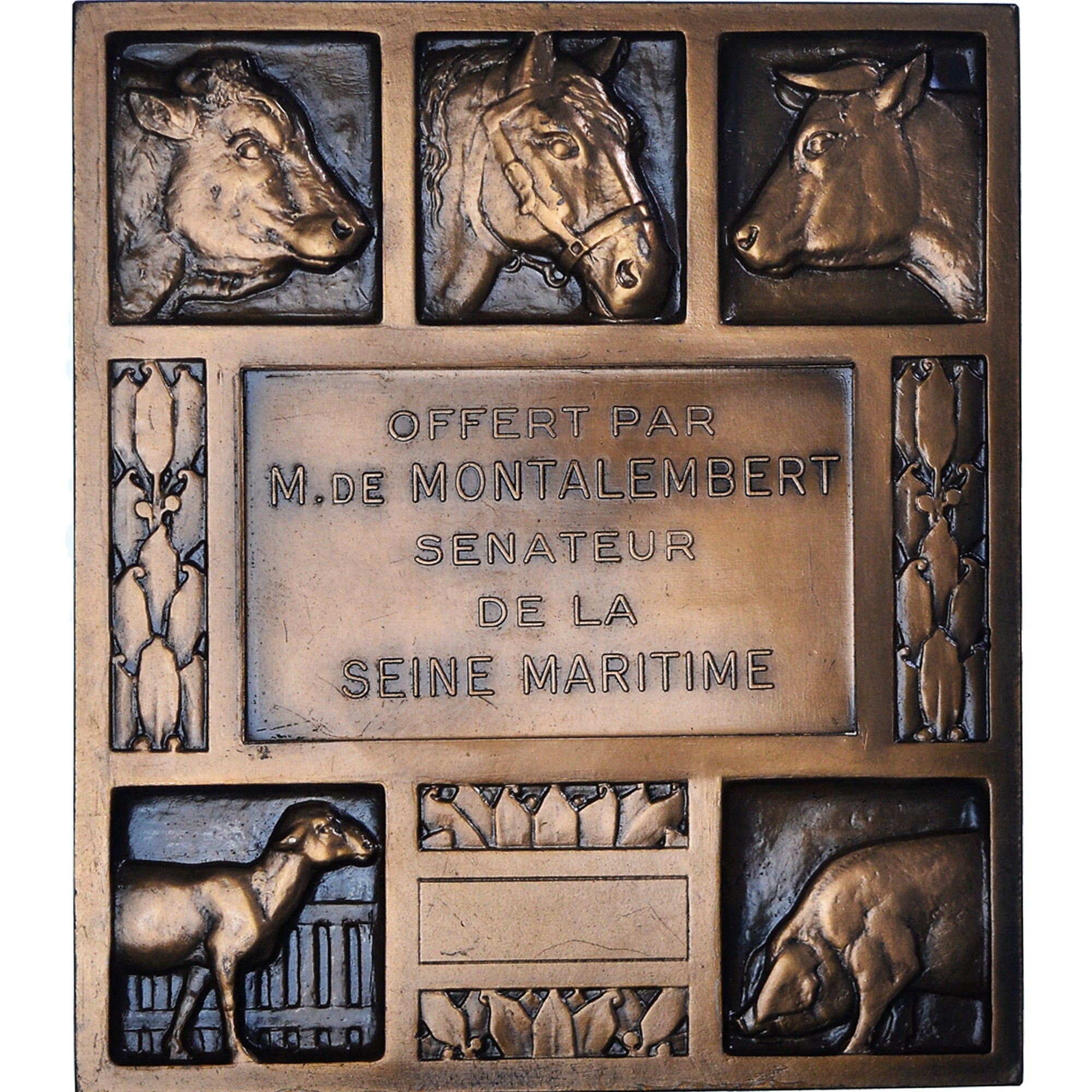 França, medalha, M. DE Montalembert, Sénateur de la Seine Maritime