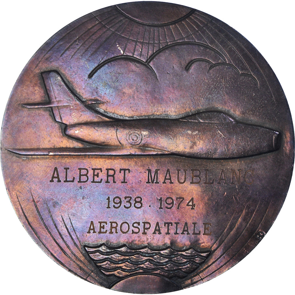 France, Medal, Aux Ailes Françaises, Aérospatiale, Aviation, 1974, Delandre