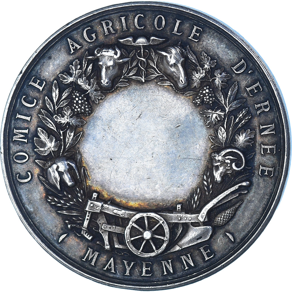 France, Medal, Comice Agricole d'Ernée, Mayenne, Agriculture, Lagrange