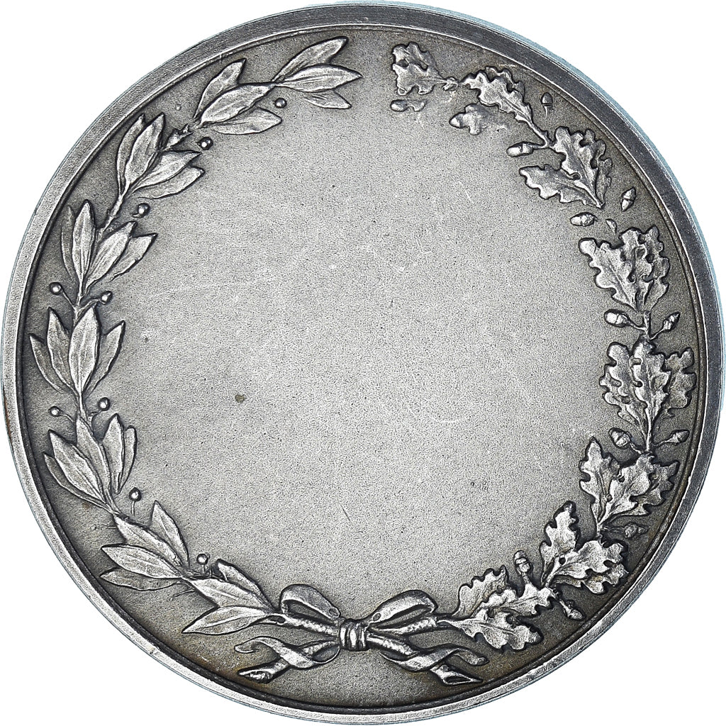 França, medalha, Fantassin, Tir Militaire, WAR, AU(55-58), Bronze Prateado