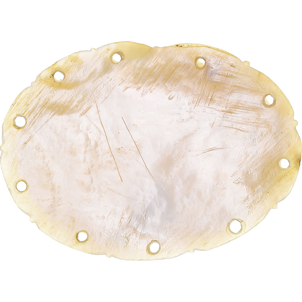 Israel, Medal, De Ierusalem, AU(55-58), Nacre