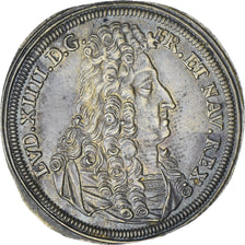 France, Token, Royal, Louis XIV, Nuremberg, Johann Jacob Dietzel, History