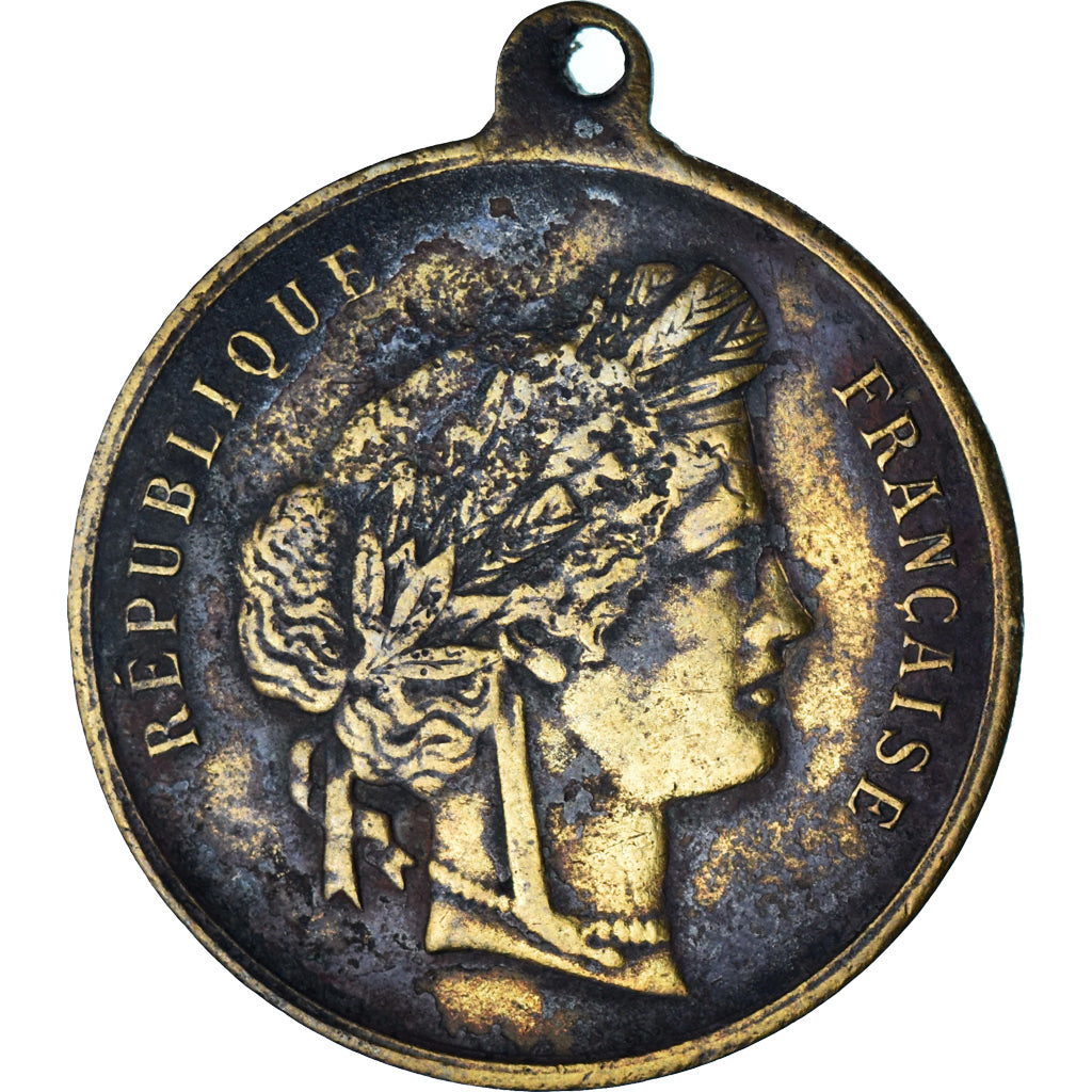 France, Medal, Grand Concours de Musique de Nevers, 1880, VF(30-35), Brass