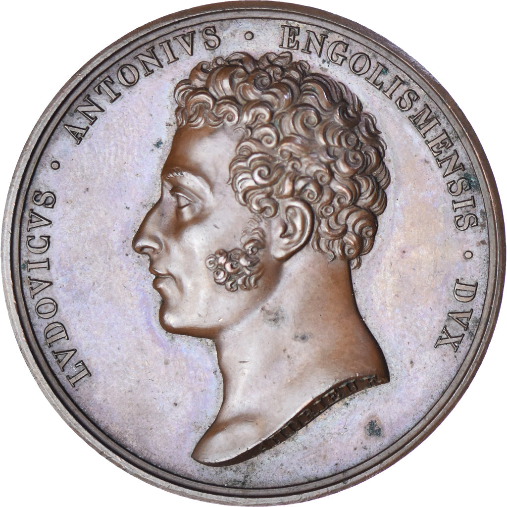 Francia, medaglia, Louis-Antoine d'Artois, duc d'Angoulême, History, 1823