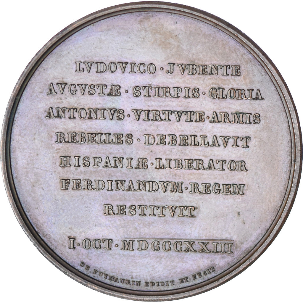 Francia, medaglia, Louis-Antoine d'Artois, duc d'Angoulême, History, 1823