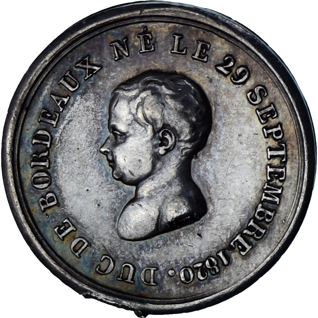 France, Medal, Caroline, Duchesse de Berri, Naissance du Duc de Bordeaux, 1820