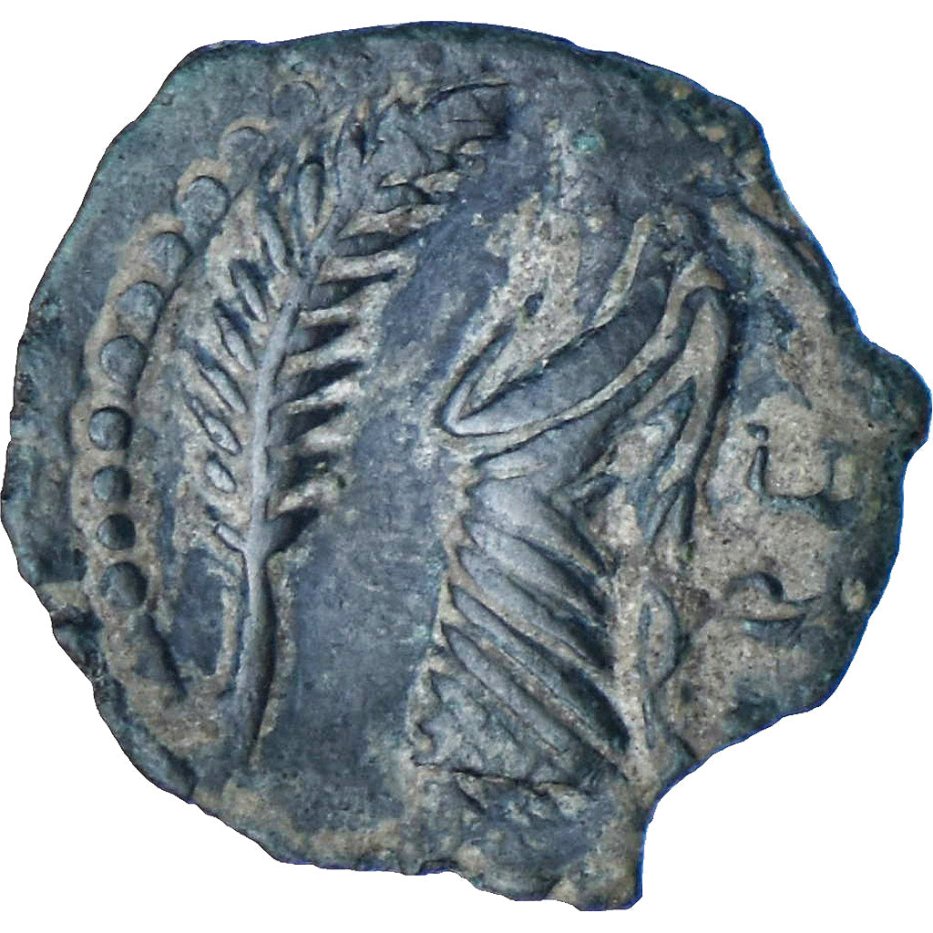 Moeda, Volcae Arecomici, Bronze Æ, 70-30 ou 49-42 AC, AU(55-58), Bronze