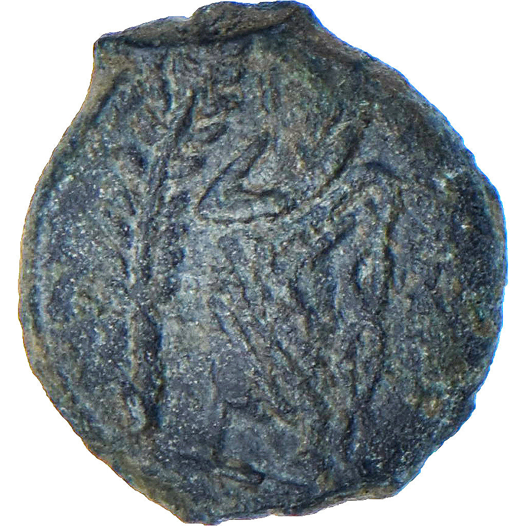 Coin, Volcae Arecomici, Bronze Æ, 70-30 ou 49-42 AC, EF(40-45), Bronze