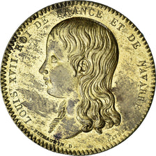 France, Token, Louis XVII, Série Métallique des Rois de France, History