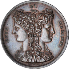 França, medalha, Napoléon Ier, Heur et Malheur, Gayrard, MS(60-62), Bronze