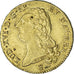 Coin, France, Louis XVI, Double louis d'or à la tête nue, 2 Louis D'or, 1787
