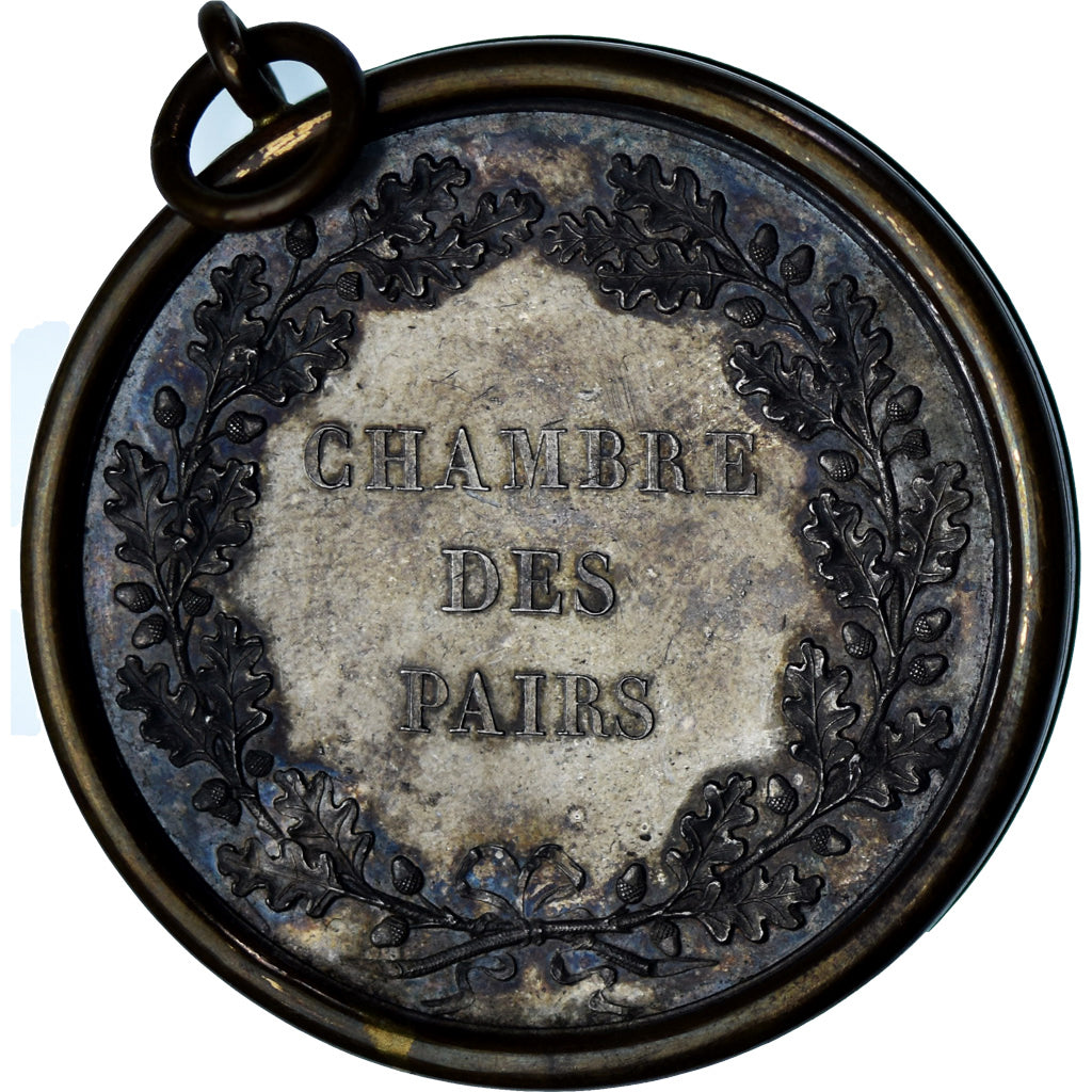 Frankreich, Medaille, Louis XVIII, Chambre des Pairs, History, Andrieu, UNZ