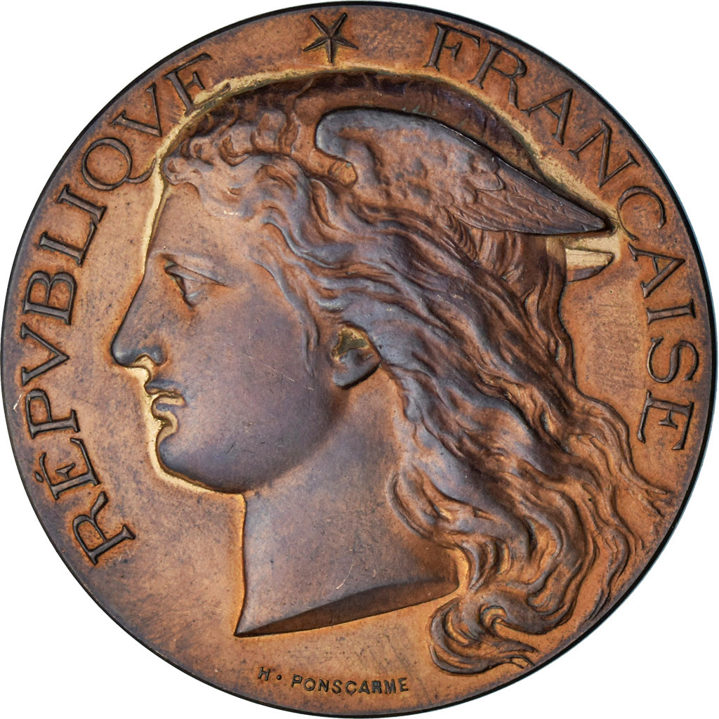 Francja, medal, Concours d'Agriculture de Toulouse, 1895, Ponscarme, AU(55-58)