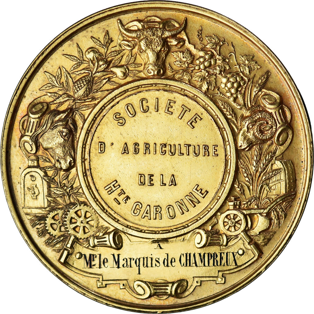 Francja, medal, Société d'Agriculture de Haute-Garonne, 1881, Desaide, Cliché