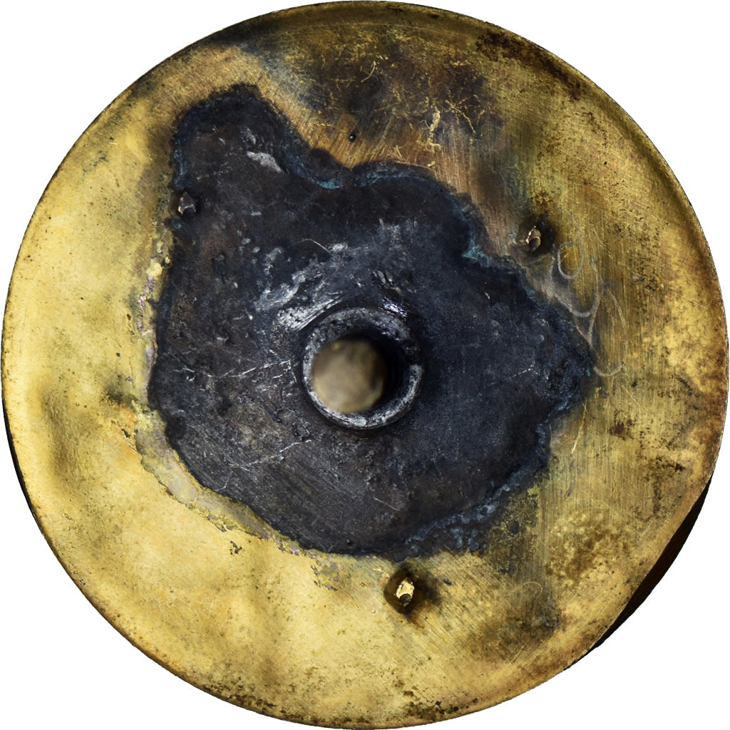 Francja, medal, Société d'Agriculture de Haute-Garonne, 1881, Desaide, Cliché