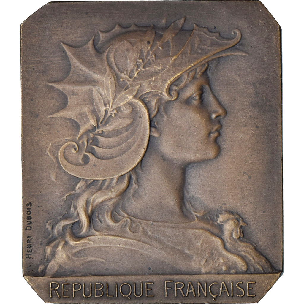 Francja, medal, Race Bovine Normande, Flers, 1908, Henri Dubois, AU(55-58)