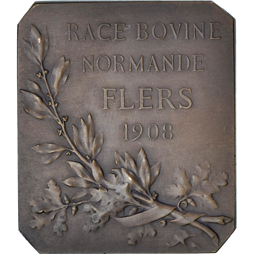 Francja, medal, Race Bovine Normande, Flers, 1908, Henri Dubois, AU(55-58)
