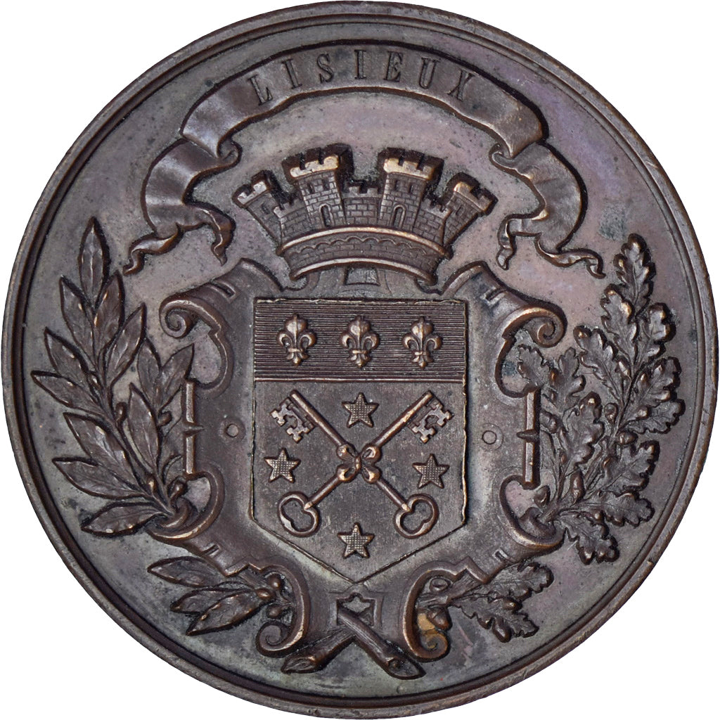 Francia, medalla, Société d'Emulation de Lisieux, 1880, EBC, Cobre