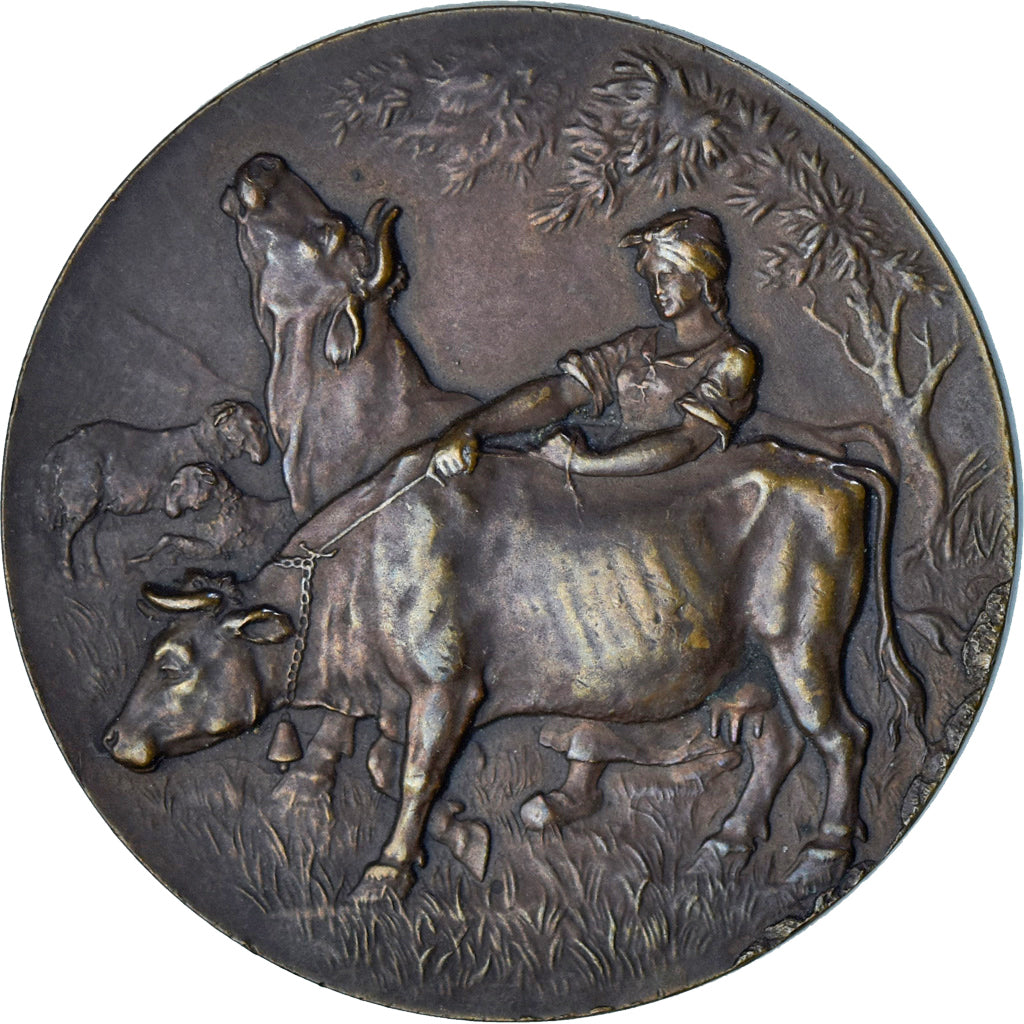 Francia, medaglia, Comice Agricole de Bernay, Agriculture, Erdmann, SPL-, Bronzo