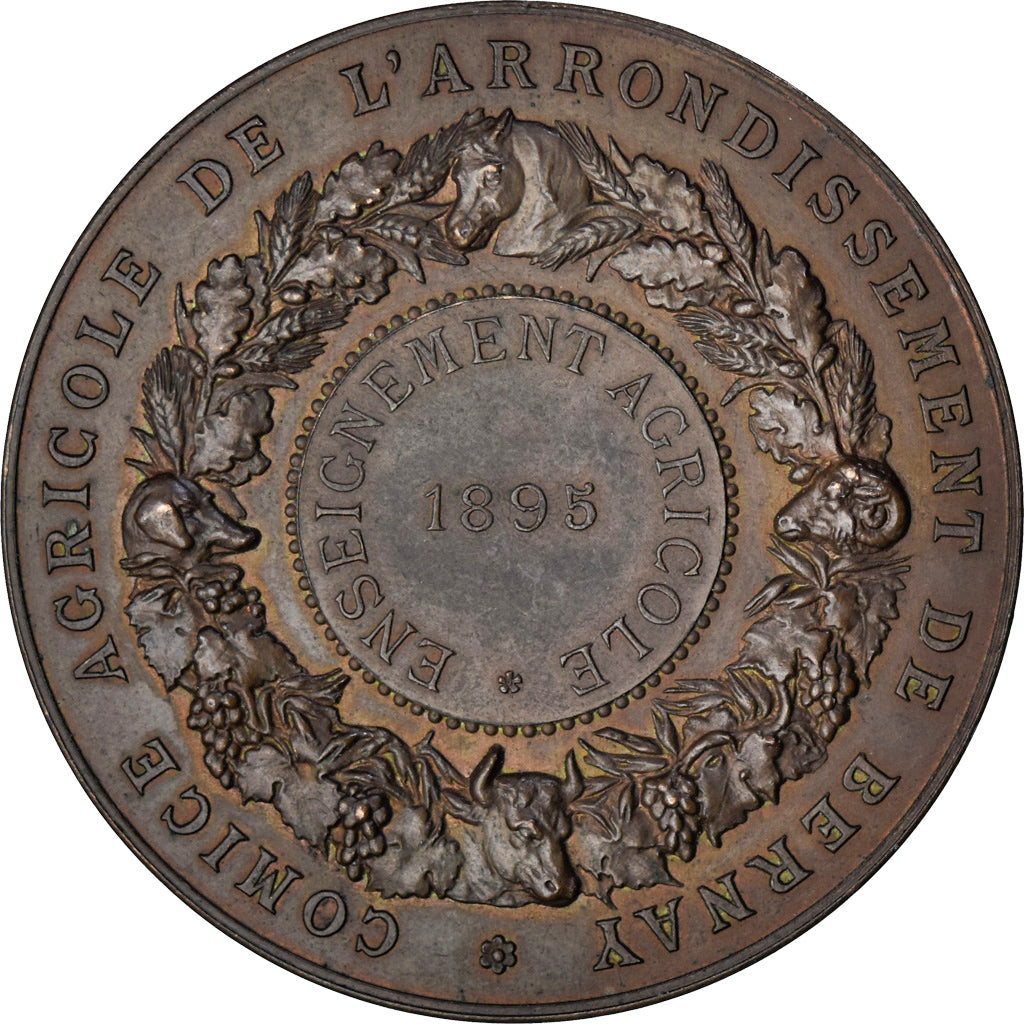 Frankreich, Medaille, Comice Agricole de Bernay, Agriculture, 1895, Henri
