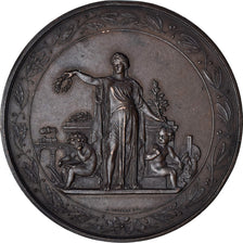Francia, medalla, Vaccination de 1874, Département de l'Eure, Medicine, 1874