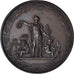 Francia, medalla, Vaccination de 1874, Département de l'Eure, Medicine, 1874