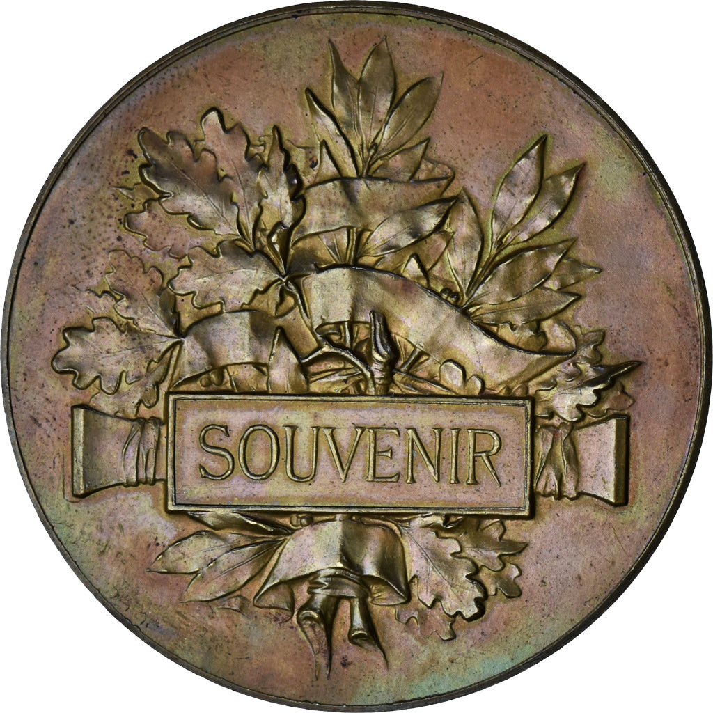 France, Médaille, Inauguration du Nouvel Hôtel de Ville d'Evreux, 1895, SUP