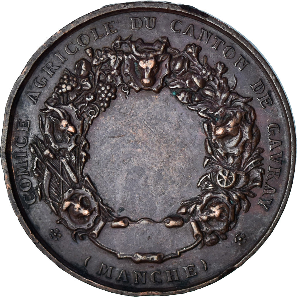 France, Médaille, Comice Agricole du Canton de Gavray, Agriculture, TTB, Cuivre