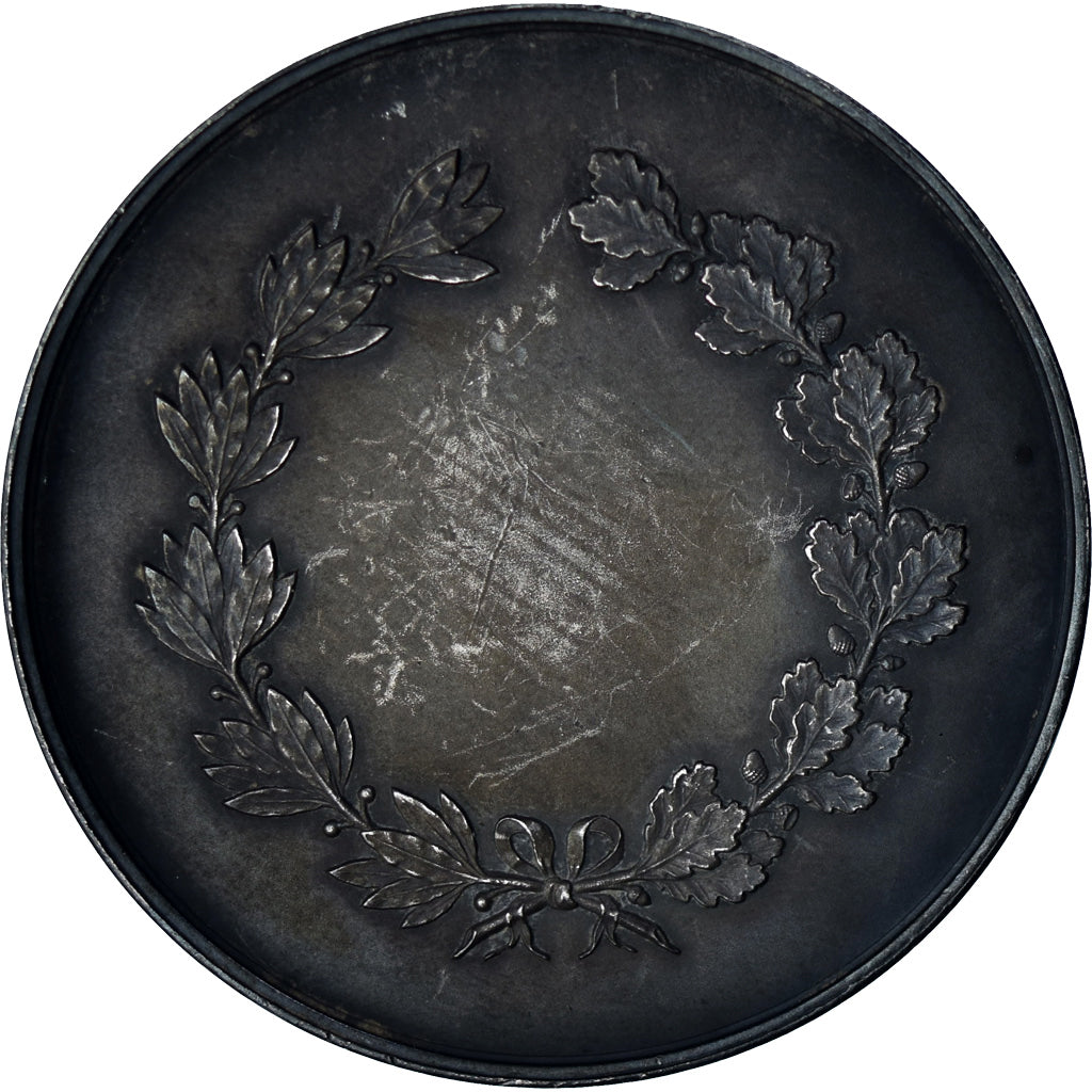 France, Medal, Déesse Minerve Casquée, Desaide, MS(60-62), Silver Plated