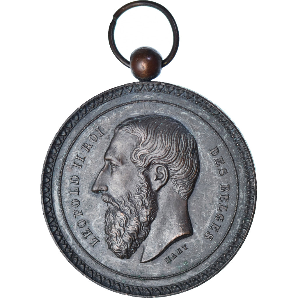 Belgia, medal, Léopold II, Exposition d'Agriculture, Stad Thielt, 1892, Hart