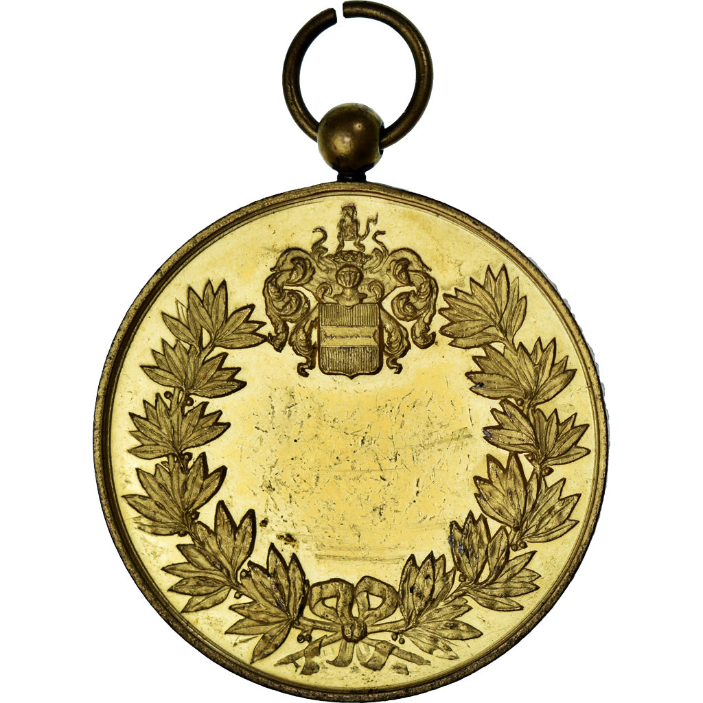 Belgia, medal, Ville de Louvain, EF(40-45), Pokryty brązem