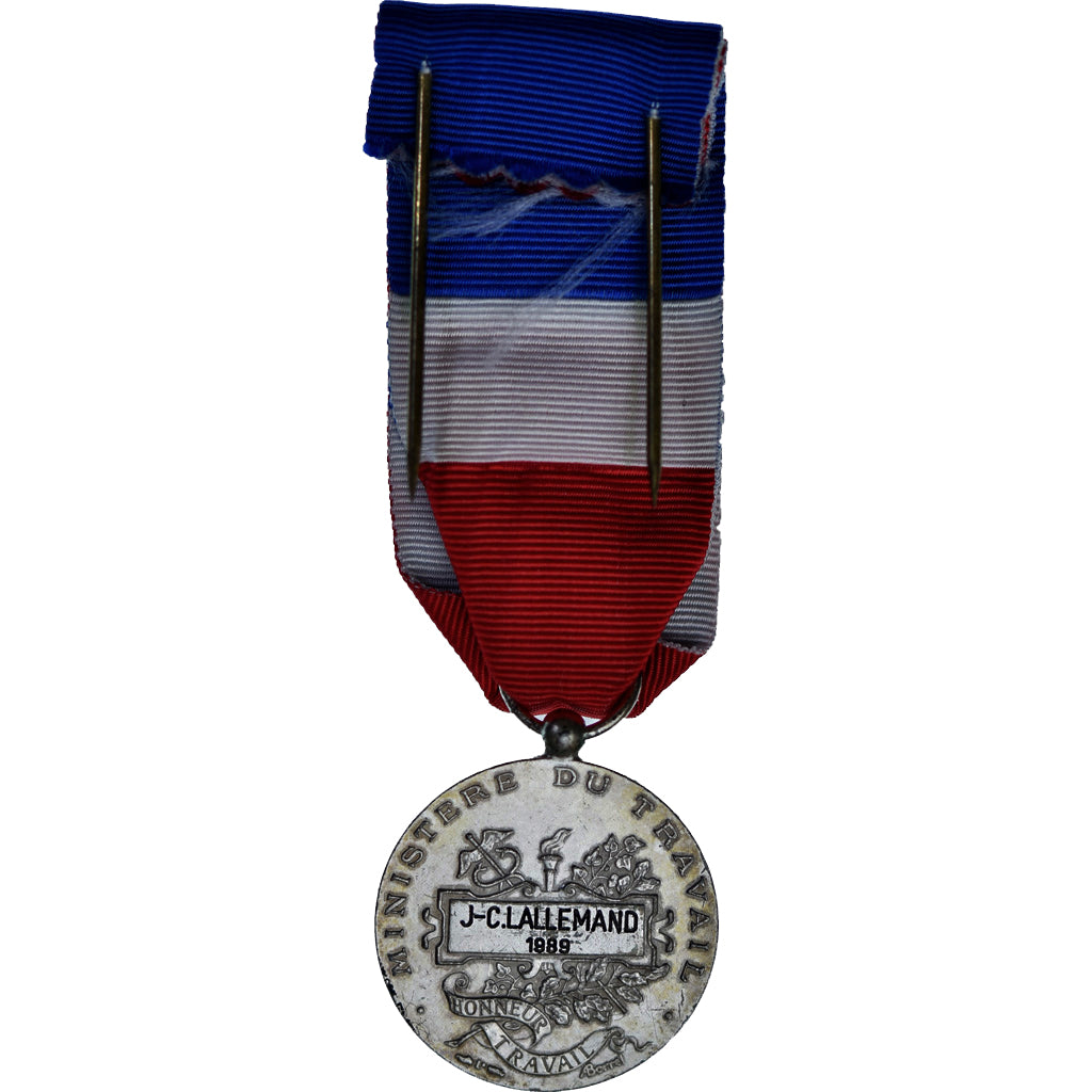 Frankreich, Honneur-Travail, République Française, Medaille, 1989, Excellent