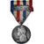 Francia, Travail, Chemins de Fer, Railway, medalla, 1926, Muy buen estado, Roty