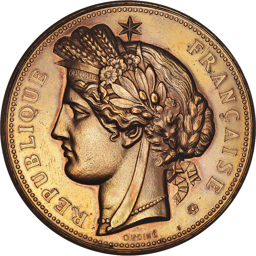 Francia, medaglia, French Third Republic, Sciences & Technologies, 1878