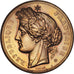 Francia, medaglia, French Third Republic, Sciences & Technologies, 1878