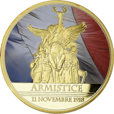 Frankreich, Medaille, Centenaire de la Première Guerre Mondiale, Armistice