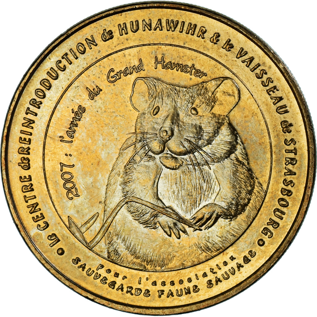 Frankreich, betaalpenning, Touristic token, Strasbourg - Le vaisseau n°2, 2007