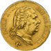 France, Louis XVIII, 40 Francs, 1818, Lille, Gold, EF(40-45), Le Franc:F.542