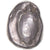 Moneta, Stater, 510/480 BC, Aegina, EF(40-45), Srebro