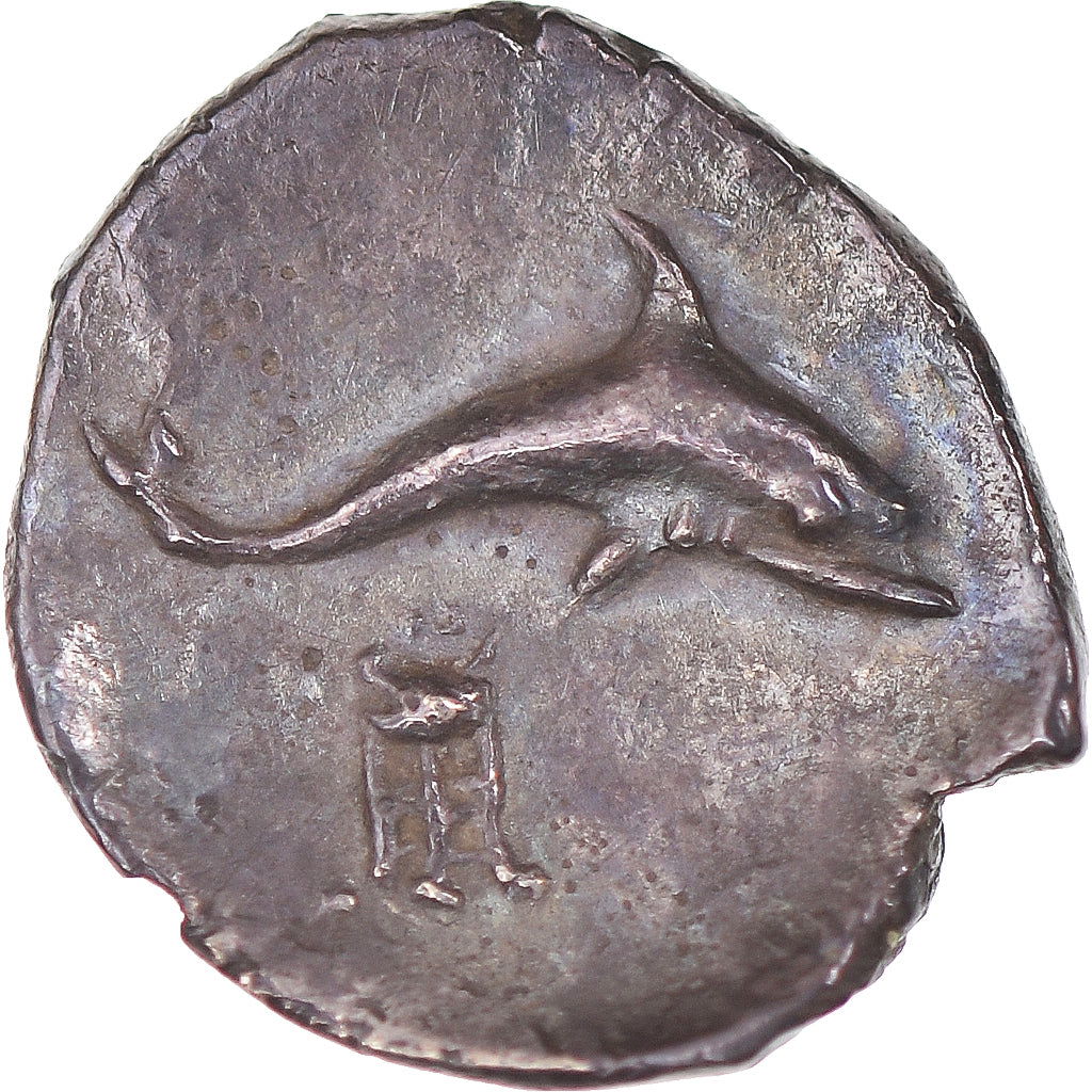 Coin, Calabria, Litra, 325-280 BC, Tarentum, MS(60-62), Silver, SNG-ANS:1508