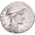Coin, Plancia, Denarius, 55 BC, Rome, AU(55-58), Silver, Crawford:432/1