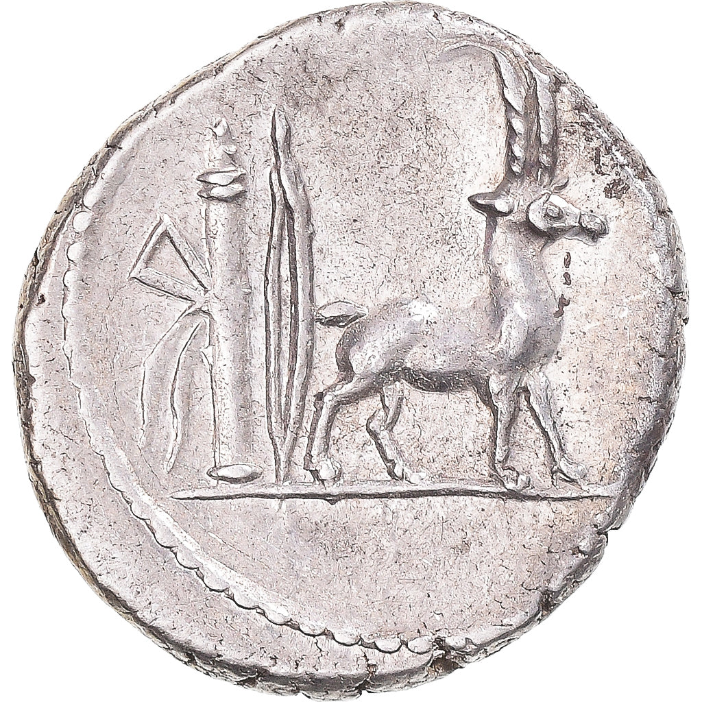 Moneda, Plancia, Denarius, 55 BC, Rome, EBC, Plata, Crawford:432/1