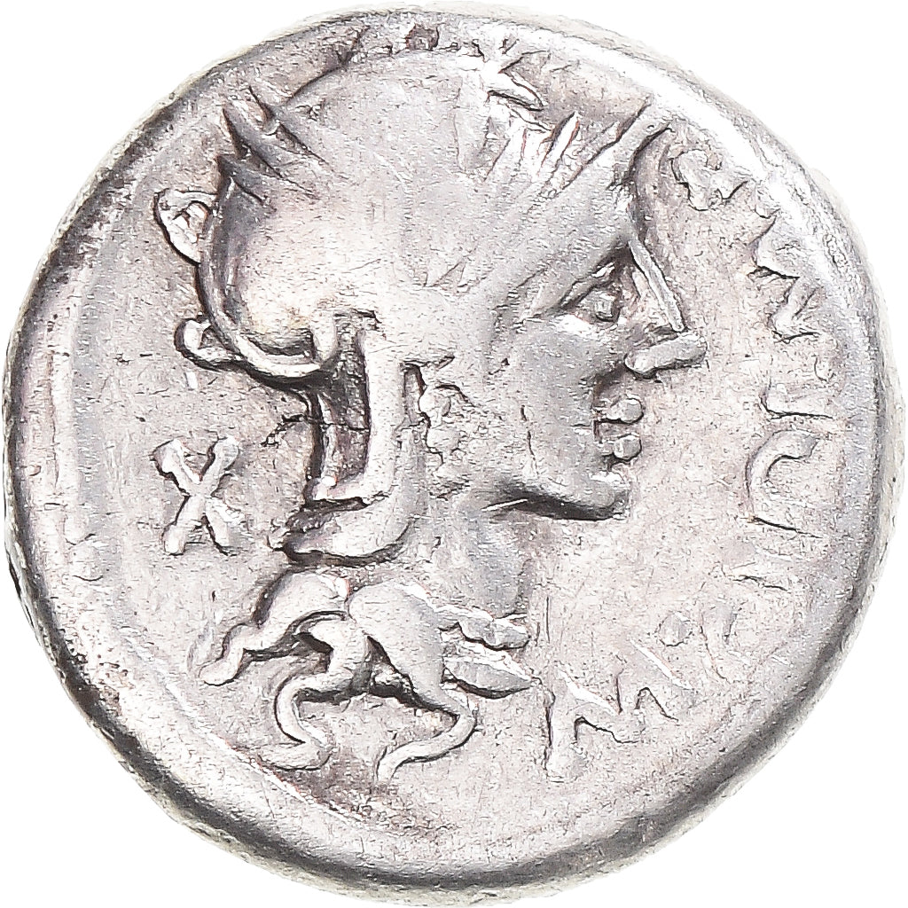 Münze, Cipia, Denarius, 115-114 BC, Rome, S+, Silber, Crawford:289/1